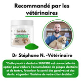 Poudre Dentaire - Haleine Fraîche et Dents Saines (60 Dosettes (120g) - Doseur Inclus - Pour Chien de plus de 3 mois)