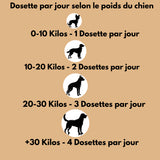 Poudre Dentaire - Haleine Fraîche et Dents Saines