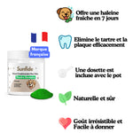 Poudre Dentaire - Haleine Fraîche et Dents Saines
