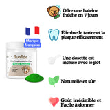 Poudre Dentaire - Haleine Fraîche et Dents Saines