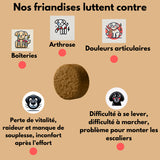 Complément Articulations pour chien (60 Délicieuses Friandises Naturelles au Poulet)