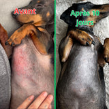 Complément Anti-Démangeaisons pour Chien (60 Délicieuses Friandises Naturelles au Poisson)