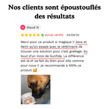 Complément Anti-Démangeaisons pour Chien (60 Délicieuses Friandises Naturelles au Poisson)