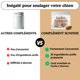 Complément Anti-Démangeaisons pour Chien (60 Délicieuses Friandises Naturelles au Poisson)