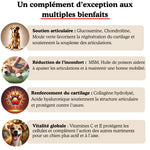 Complément Articulations pour chien (60 Délicieuses Friandises Naturelles au Poulet)
