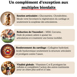 Complément Articulations pour chien (60 Délicieuses Friandises Naturelles au Poulet)