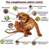 Complément Anti-Démangeaisons pour Chien (60 Délicieuses Friandises Naturelles au Poisson)