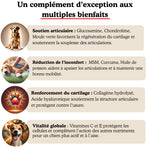 Complément Articulations pour chien Ultra concentrée (60 Délicieuses Friandises Naturelles au Poulet)