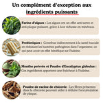 Poudre Dentaire - Haleine Fraîche et Dents Saines (60 Dosettes (120g) - Doseur Inclus - Pour Chien de plus de 3 mois)