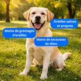 Complément Anti-Démangeaisons pour Chien (60 Délicieuses Friandises Naturelles au Poisson) -