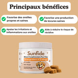 Complément Anti-Démangeaisons pour Chien (60 Délicieuses Friandises Naturelles au Poisson) -