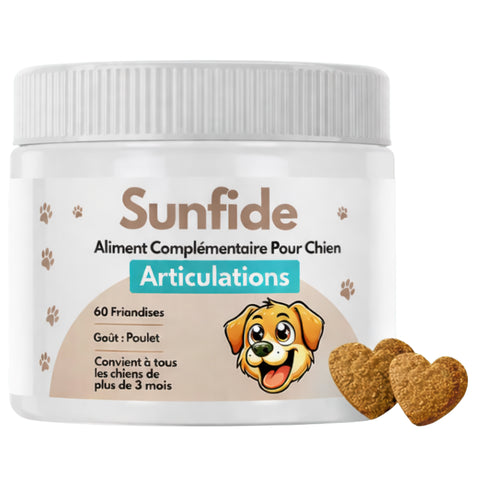 Friandises Articulation Pour Chien