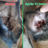 Complément Anti-Démangeaisons pour Chien (60 Délicieuses Friandises Naturelles au Poisson) -