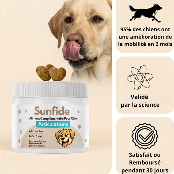 Complément Articulations pour chien (60 Délicieuses Friandises Naturelles au Poulet)