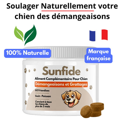 Complément Anti-Démangeaisons pour Chien (60 Délicieuses Friandises Naturelles au Poisson)
