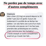 Complément Anti-Démangeaisons pour Chien (60 Délicieuses Friandises Naturelles au Poisson)