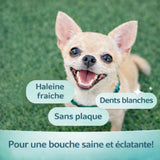 Poudre Dentaire - Haleine Fraîche et Dents Saines (60 Dosettes)