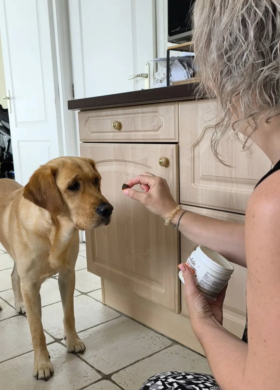 3. Zéro Lutte : il croit que c'est une Friandise