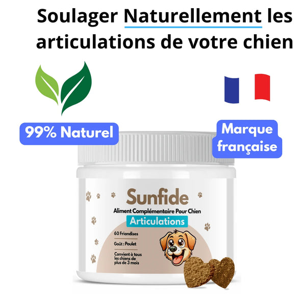 Sunfide - Complément Articulation