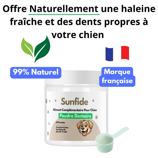 Poudre Dentaire - Haleine Fraîche et Dents Saines