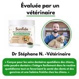 Poudre Dentaire - Haleine Fraîche et Dents Saines (60 Dosettes)