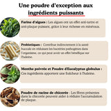 Poudre Dentaire - Haleine Fraîche et Dents Saines